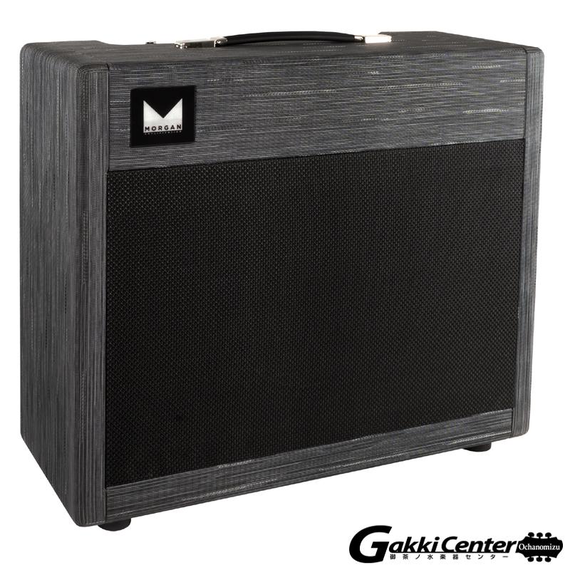 Morgan Amplification DUAL 20 Combo, Twilight