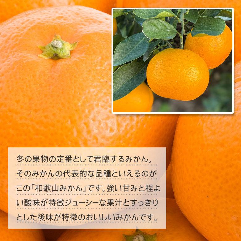 送料無料 キズ有り 訳あり 家庭用 みかん 和歌山県産 和歌山みかん 温州みかん 2Lサイズ以上 サイズ混合 約8kg前後 キズあり 国産  国産みかん