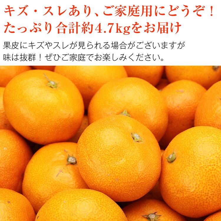 味まるみかん 大玉 糖度12度 4.7kg 長崎県産 ご家庭用 2Lサイズ JAながさき西海 常温便 同梱不可 指定日不可 ミカン 蜜柑