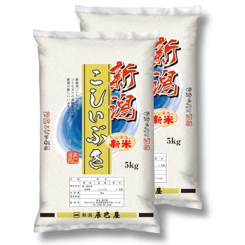 精米] 新米 新潟県産 こしいぶき 10kg (5kg×2袋) 白米 新潟辰巳屋 令和