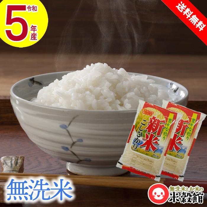 宮崎県産コシヒカリ 5kg×2 無洗米 送料無料 期間限定