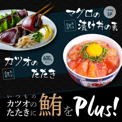 ふるさと納税 香美市 訳あり カツオたたき600g マグロ漬け丼の素 80g×5P