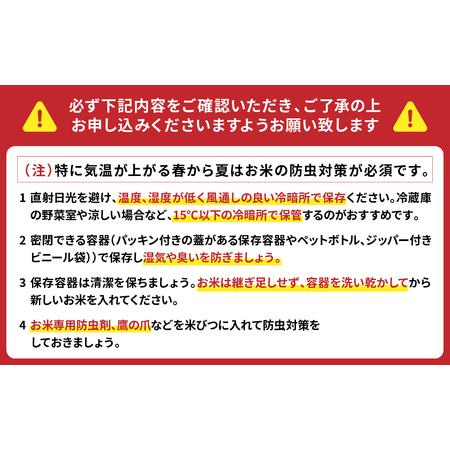 ふるさと納税 八代市産 ヒノヒカリ 5kg 令和5年産 米 熊本 送料無料 熊本県八代市