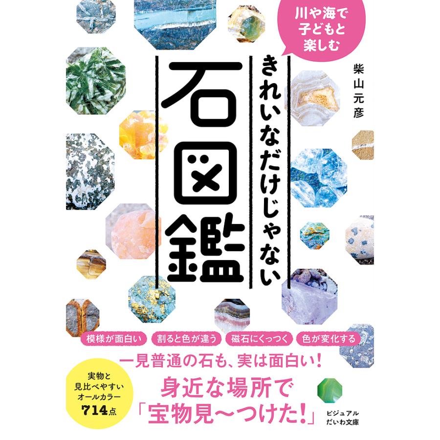 川や海で子どもと楽しむ きれいなだけじゃない石図鑑