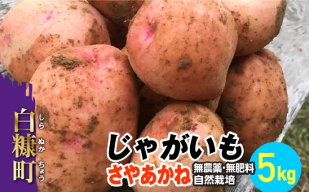 じゃがいも（さやあかね）無農薬・無肥料・自然栽培・北海道産_I007-0481