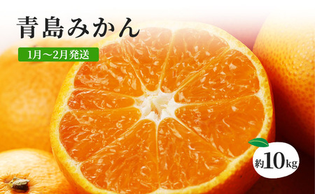 みかん 青島みかん 約10kg ミカン 蜜柑 フルーツ 果物 柑橘 柑橘類 柑橘系 1～2月発送 マルハマ