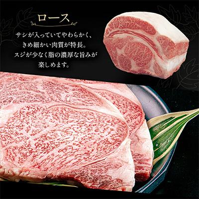 ふるさと納税 宮崎市 宮崎牛ロースステーキ 250g×2枚 計500g(宮崎市)