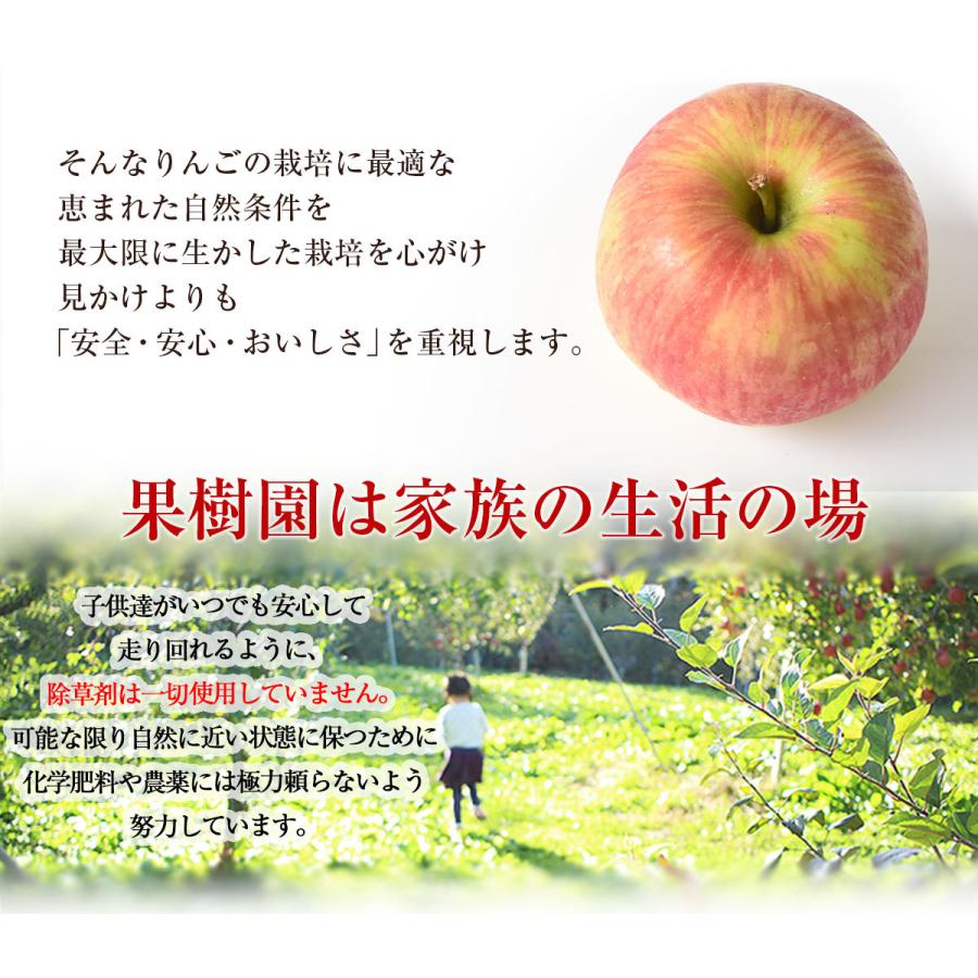 長野県産 りんご 樹上完熟りんご 3kg 特別栽培農産物 減農薬 蜜入り 訳あり ジュース用 ご家庭用 にんじんジュースにも最適