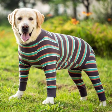 新款大型狗狗衣服四腳衣金毛拉布拉多薩摩大狗全包護肚防掉毛薄款