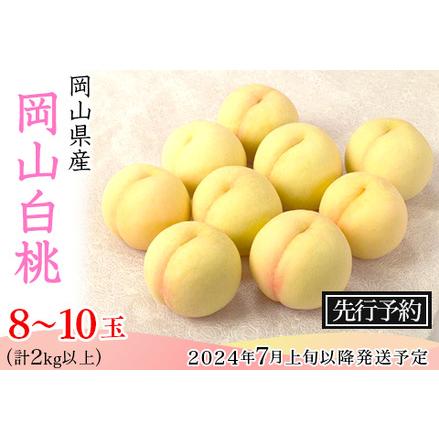 ふるさと納税 74-10岡山白桃8〜10玉（2kg以上） 岡山県井原市