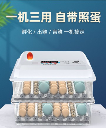 孵化箱小型家用型雞蛋鸚鵡孵蛋器迷你全自動智能小雞蘆丁雞孵化器110V  森馬先生旗艦店