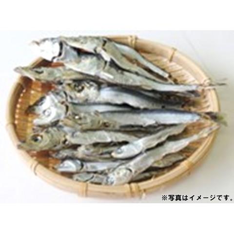 かね七　徳用煮干し　1kg