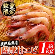 akune-2-45 数量限定！鹿児島県阿久根産 薩摩甘エビ(約1kg・42～50尾) 国産 阿久根市産 えび 海老 急速冷凍 冷凍配送 魚貝類 魚介類 海産物 2-45