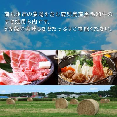 ふるさと納税 南九州市 鹿児島県産黒毛和牛5等級モモ赤身すき焼600g