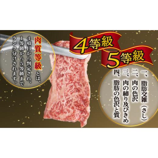 ふるさと納税 宮崎県 串間市 KU480 宮崎県産 宮崎牛バラ焼肉用 250g×4パック 合計1kg