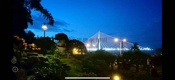 大樹斜張橋畔景觀第一排稀有傳家寶｜高雄市大樹區統嶺段