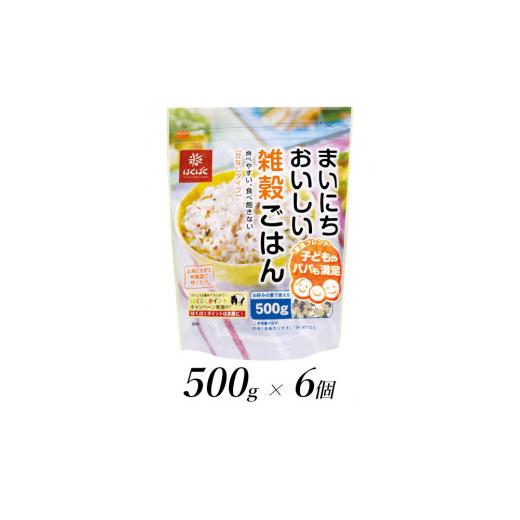 ふるさと納税 山梨県 南アルプス市 2.6-9-2はくばく　まいにちおいしい雑穀ごはん　500gx6個