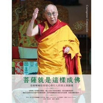 【957T】二手書七成新，《菩薩就是這樣成佛：達賴喇嘛給初發心修行人的第五個錦囊》，第十四世達賴喇嘛 比丘丹增．嘉措