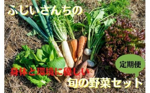 （定期便・4回）発送月が選べる 身体 環境 優しい SDG 旬の野菜（７～10種）セット 040-006