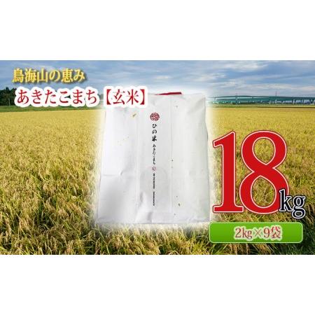 ふるさと納税 秋田県産 あきたこまち 玄米 18kg（2kg×9袋）神宿る里の米「ひの米」（お米 小分け） 秋田県にかほ市