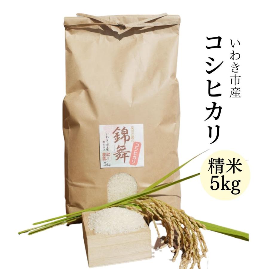 コシヒカリ 精米5kg いわき市産 令和5年産新米 農家直送米