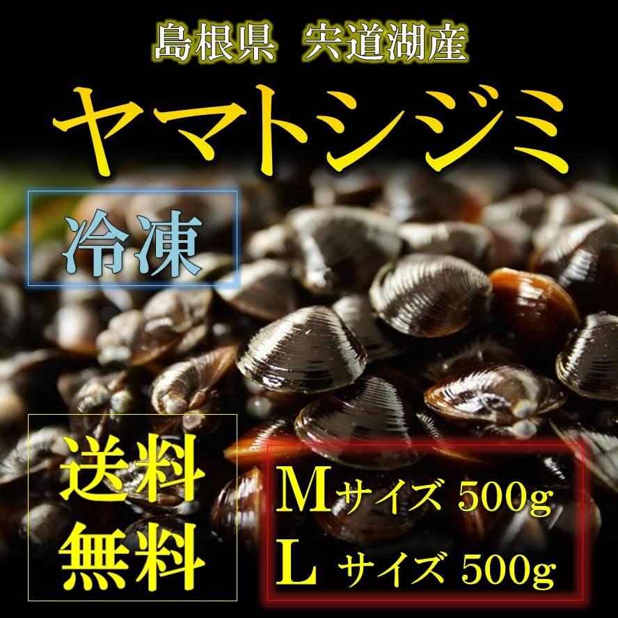 シジミ 宍道湖産 Mサイズ500ｇ Lサイズ500ｇ 送料無料 冷凍