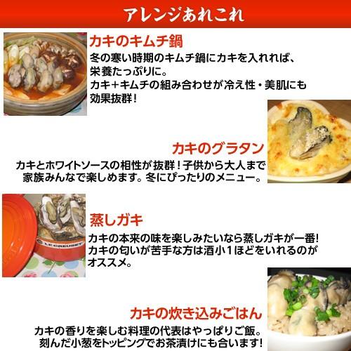 『代引不可』『産地直送』 岡山日生 殻付き 活若牡蠣 〔加熱調理用〕 (約30〜35個前後) 『返品不可』『日時指定不可』