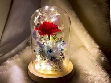 紅玫瑰 夜燈 玻璃罩盅