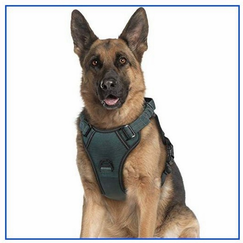 新品 Rabbitgoo 犬 ハーネス 中型犬 大型犬 ペット 超強化縫い目 引っ張り防止 バックル式 おしゃれ 衝 通販 Lineポイント最大0 5 Get Lineショッピング