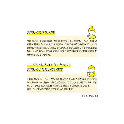 ふるさと納税 山梨県 北杜市 7月〜9月発送！農家秘蔵の極甘ブルーベリー　中粒1kg（250g×4パック）