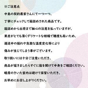 ふるさと納税 あいか 5kg 家庭用 あいか 蜜柑 あいか みかん あいか 愛媛 あいか 松山 あいか フルーツ あいか 果物 あいか くだもの あいか 5キ.. 愛媛県松山市