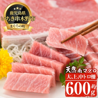 天然南まぐろ極みセット 大トロ～中トロ 約600g