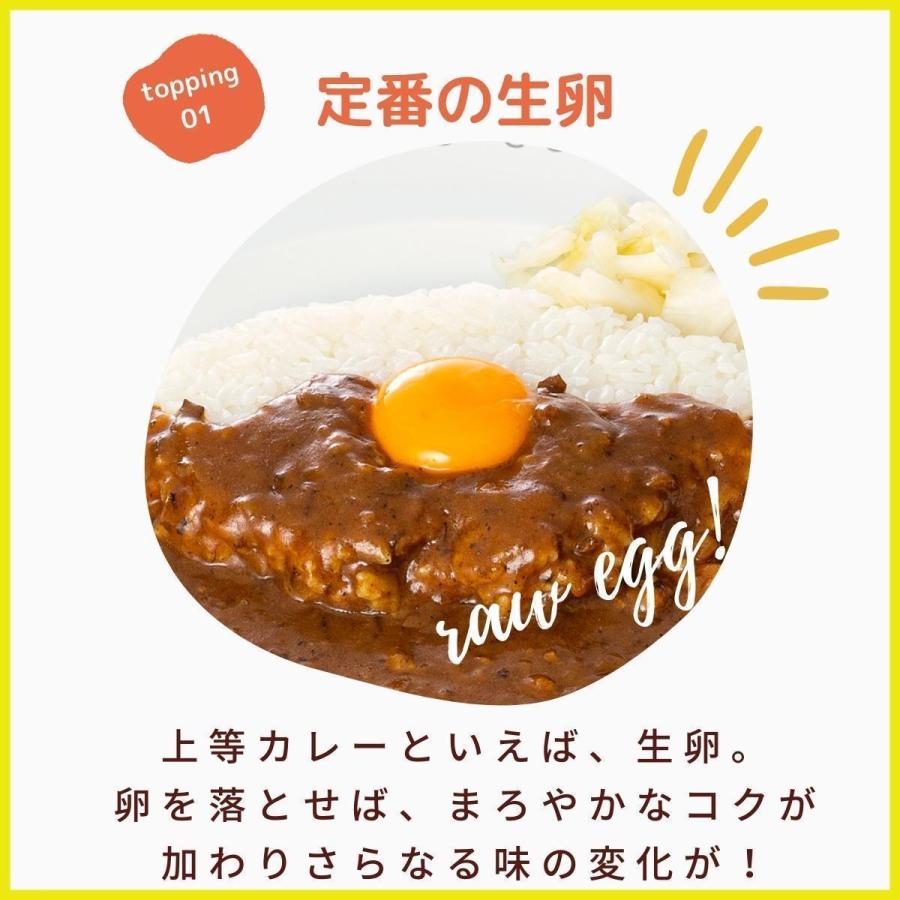 お試しセット 上等カレー レトルト食品 詰め合わせ 手土産 大阪 お土産    プレーン＋えび芋入り (500g × 2袋  約6人前)