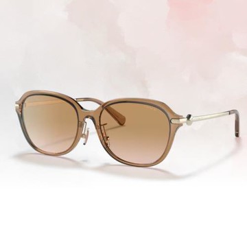 【COACH】方形膠框太陽眼鏡(HC8332D-565413 56mm)