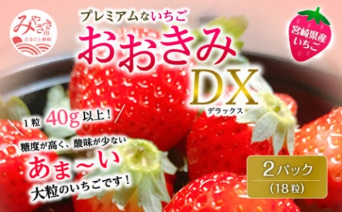 期間・数量限定 宮崎県産 イチゴ「おおきみDX」2パック(18粒)_M260-005