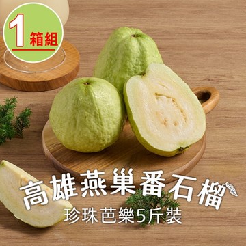 匯通-高雄燕巢番石榴(珍珠芭樂)1箱(5斤/箱;約6~8顆/箱）