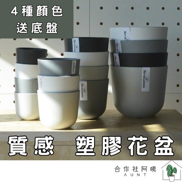 【現貨-隔日配】塑膠花盆 花盆 塑膠盆 園藝 園藝花盆 水泥盆 花盆 多肉花盆 盆器 無孔 033