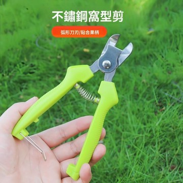 嚴選好物 實用園藝工具 不銹鋼窩型摘果剪 修枝埰摘不傷果 剪橙子蘋果專用剪刀 採摘剪 摘果剪 修枝剪刀 橘子番茄採摘剪