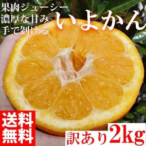 みかん いよかん 伊予柑  2kg ご家庭用　和歌山県有田川町産