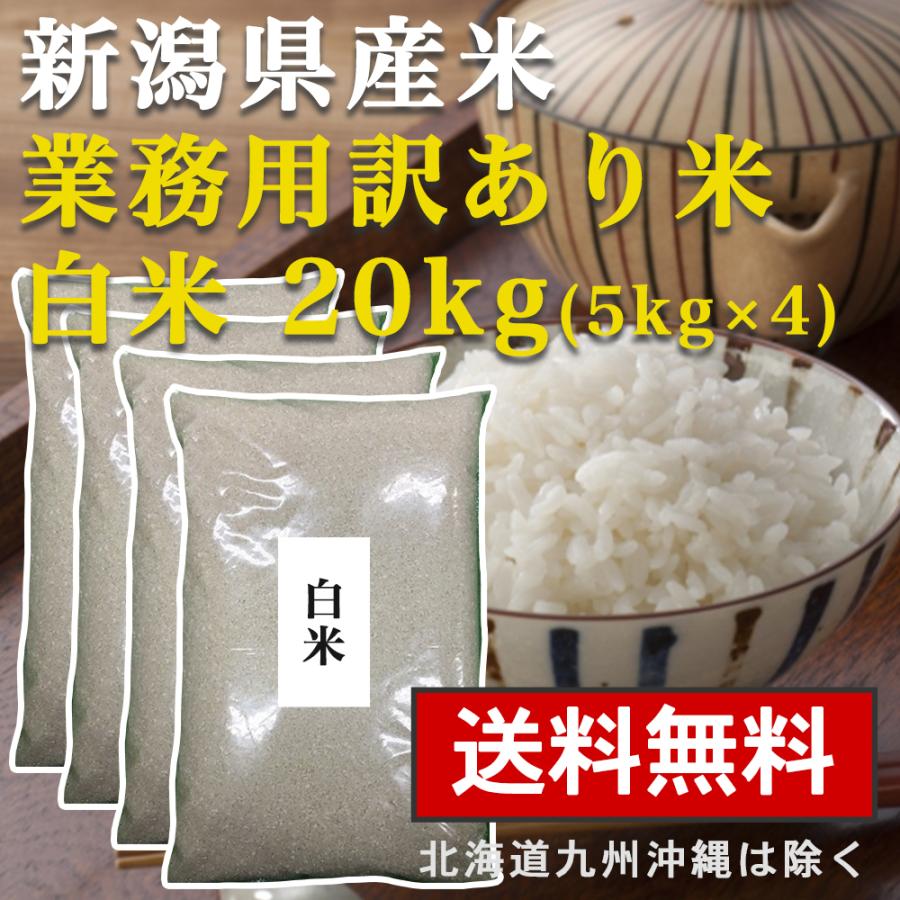 白米 20kg(5kg×4) 送料無料 学校給食 新潟県産 業務用米 20キロ