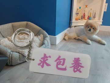 求包養 匙扣 Pinkoi 首發 【夢寐以求系列】