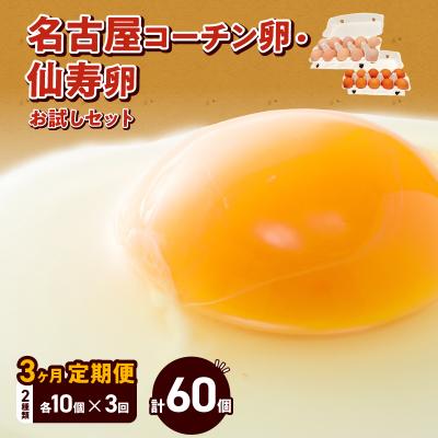 ふるさと納税 小牧市 名古屋コーチン卵・仙寿卵お試しセット(各10個入り)×3回 [006K02-T]