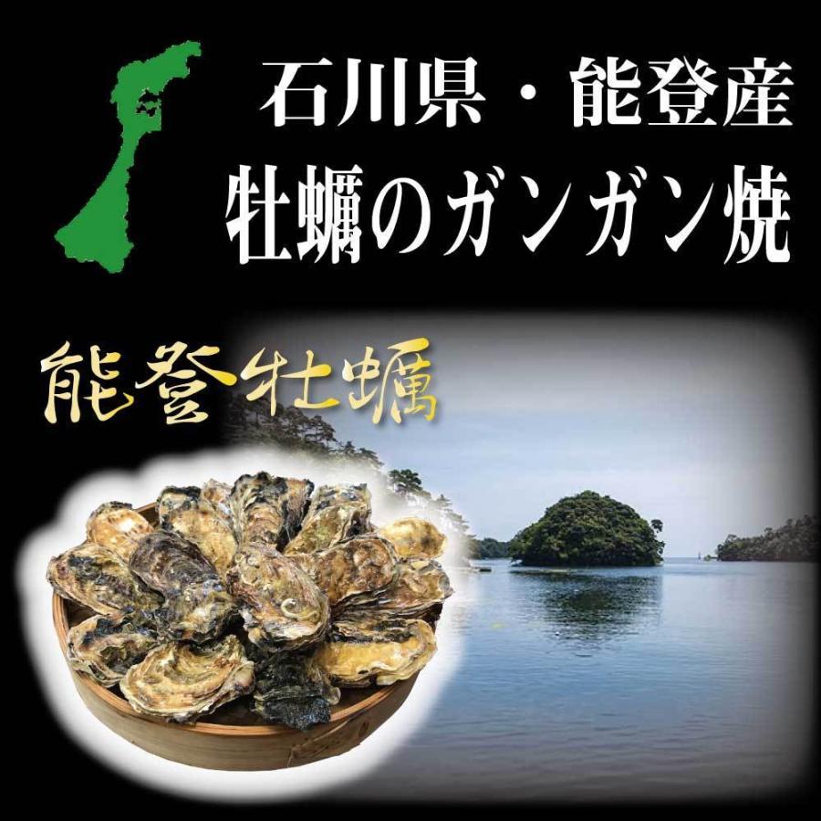 牡蠣 かき カキ 蒸し牡蠣 牡蠣小屋 能登牡蠣ガンガン焼きセット2kg 約20個入 冷蔵便