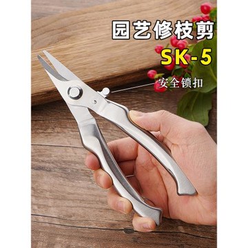 強力剪枝剪刀不銹鋼園林修枝摘果園剪家用省力樹枝花藝卉修花工具