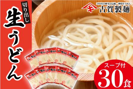 ふっくらモチモチ神埼生うどん 10袋入 (H014125)