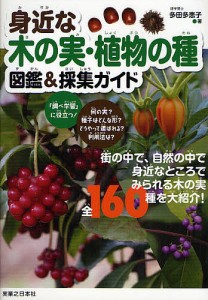 身近な木の実・植物の種図鑑 採集ガイド