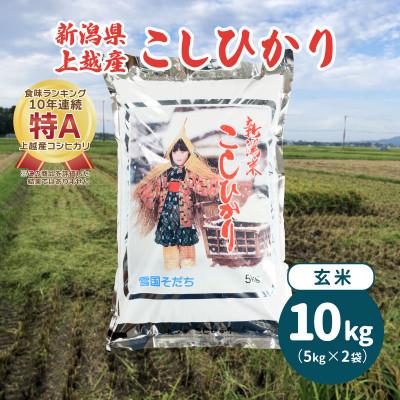 ふるさと納税 上越市 令和5年産・新潟県上越産 コシヒカリ 玄米10kg(5kg×2)|美味安全野菜栽培士が栽培したお米