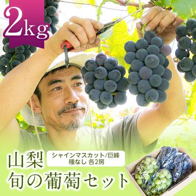 ふるさと納税 山梨市 山梨　旬の葡萄セット2kg(シャインマスカット2房、巨峰2房)(種なし)