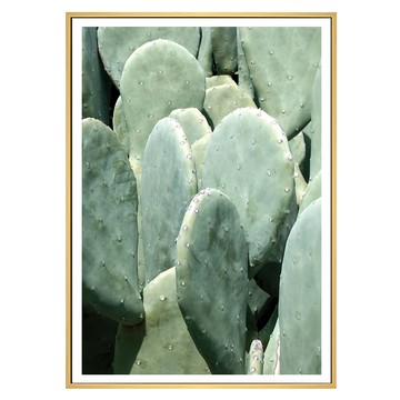 叢叢多肉小鮮綠I 木色  59.4 x 42cm