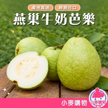 產地直送 燕巢牛奶芭樂 中大顆果 高雄燕巢 清脆香甜 新鮮現採芭樂 台灣芭樂 小麥購物 【A138】